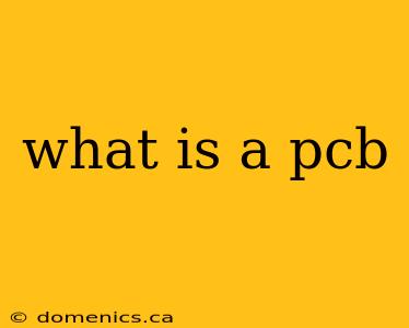 what is a pcb