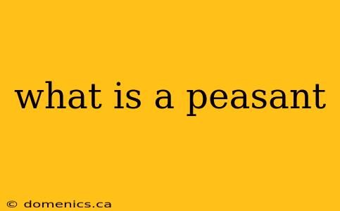 what is a peasant