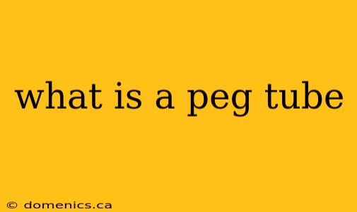 what is a peg tube