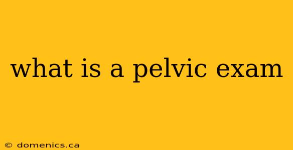 what is a pelvic exam