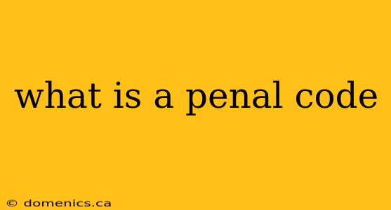 what is a penal code