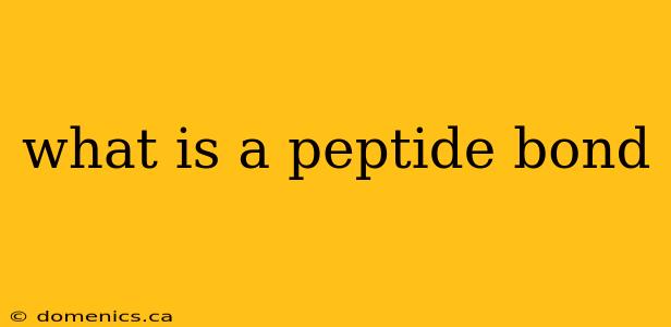 what is a peptide bond