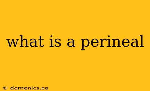 what is a perineal