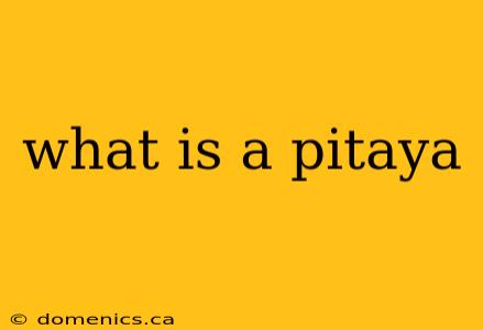 what is a pitaya