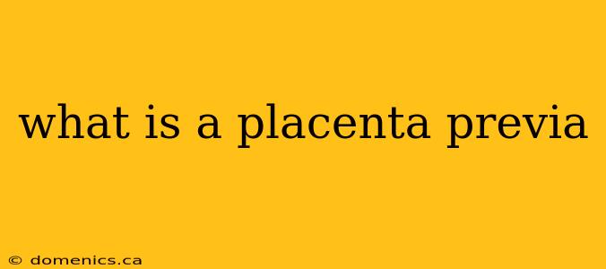 what is a placenta previa