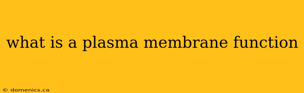 what is a plasma membrane function