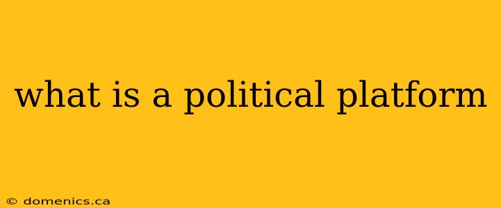 what is a political platform