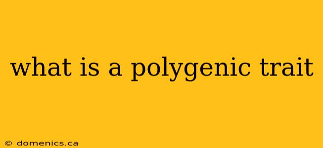 what is a polygenic trait