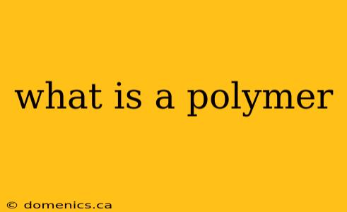 what is a polymer