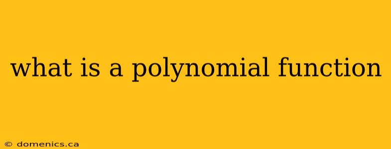 what is a polynomial function