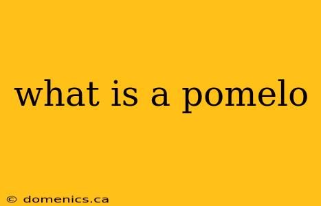 what is a pomelo