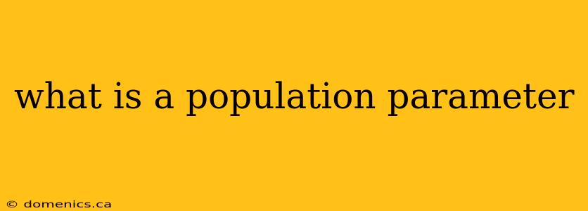 what is a population parameter