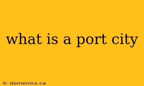 what is a port city