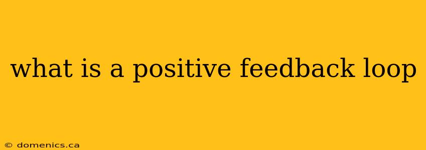 what is a positive feedback loop