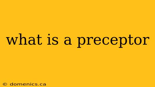 what is a preceptor