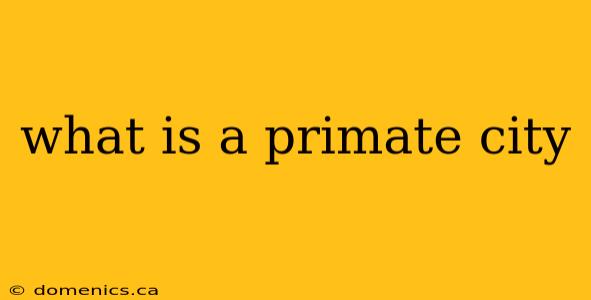 what is a primate city