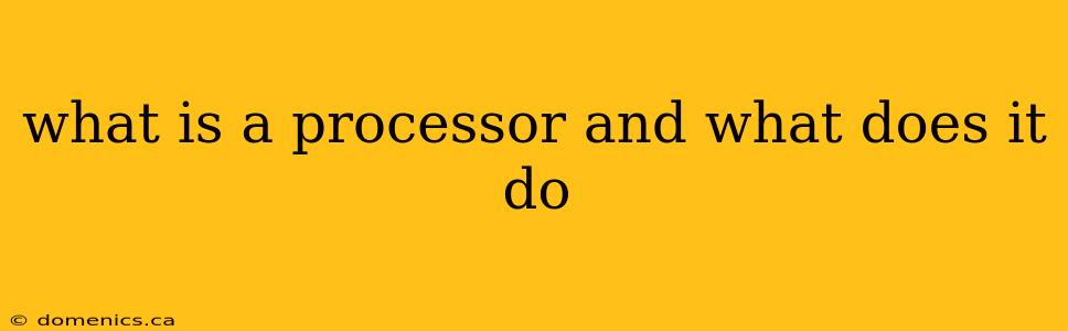 what is a processor and what does it do