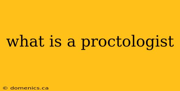 what is a proctologist