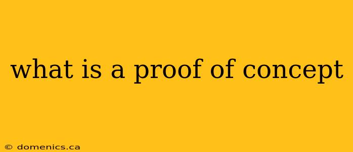 what is a proof of concept