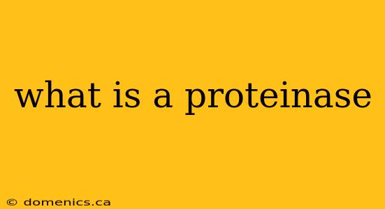 what is a proteinase