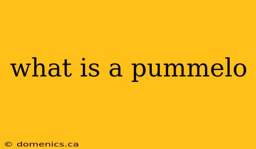 what is a pummelo