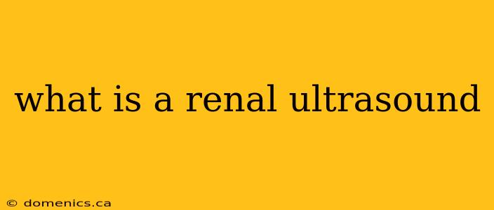 what is a renal ultrasound