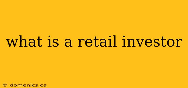 what is a retail investor