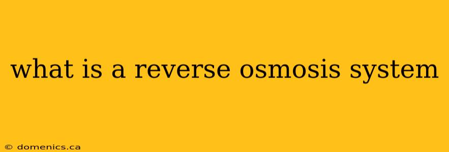 what is a reverse osmosis system