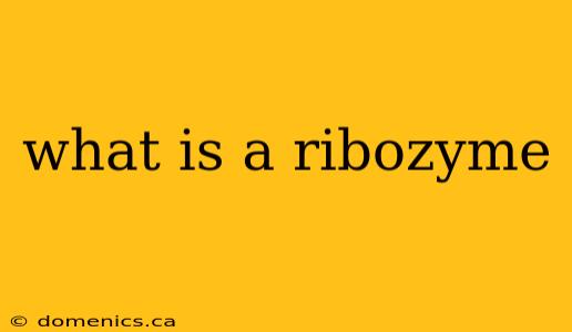 what is a ribozyme