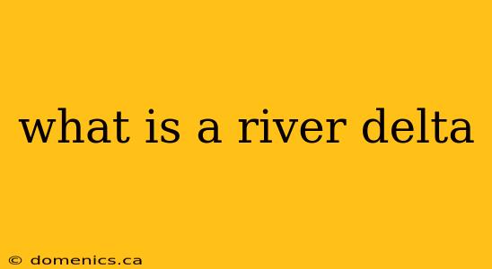 what is a river delta