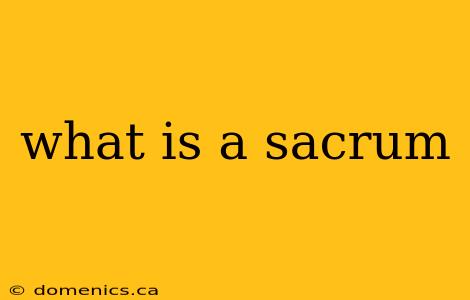 what is a sacrum