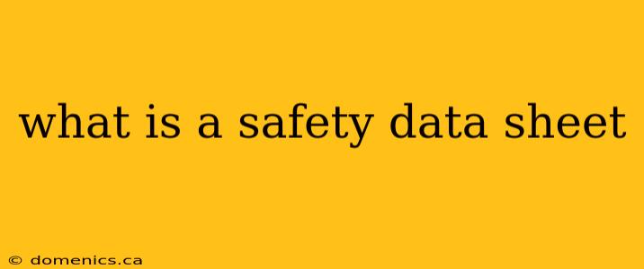 what is a safety data sheet