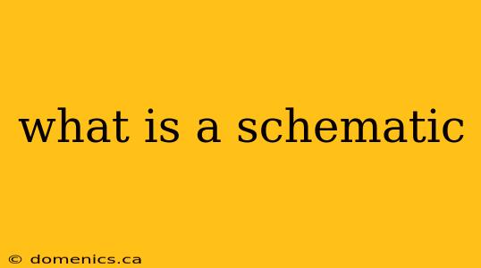 what is a schematic