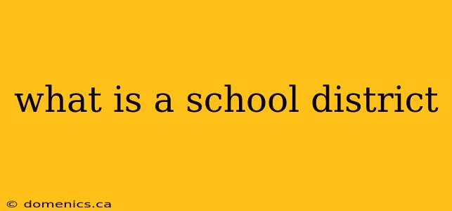 what is a school district