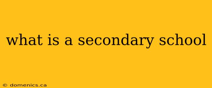 what is a secondary school