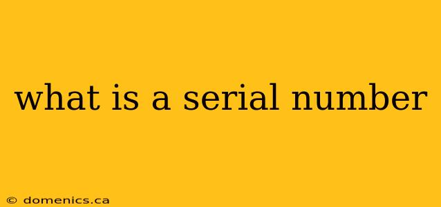 what is a serial number