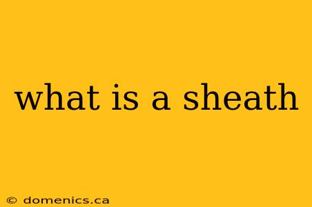 what is a sheath