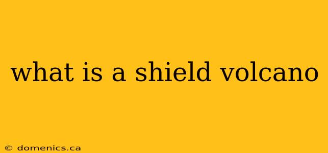 what is a shield volcano