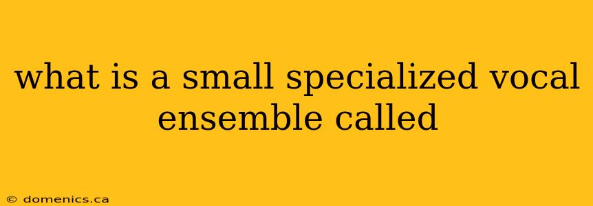 what is a small specialized vocal ensemble called