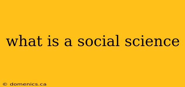 what is a social science