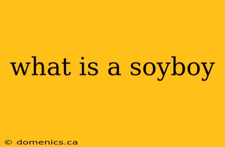 what is a soyboy