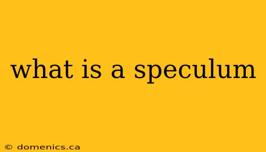 what is a speculum