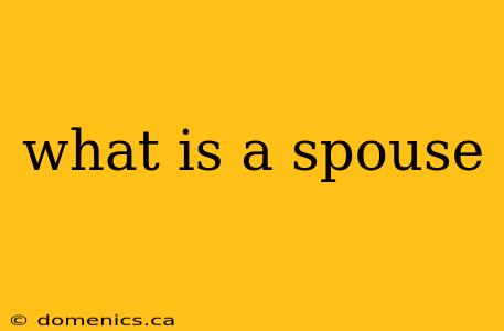 what is a spouse