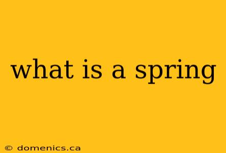 what is a spring