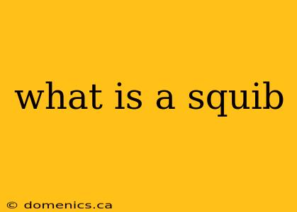 what is a squib