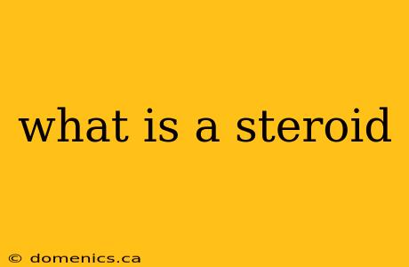 what is a steroid