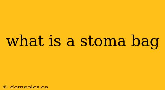 what is a stoma bag