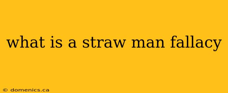 what is a straw man fallacy