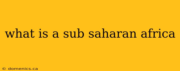 what is a sub saharan africa