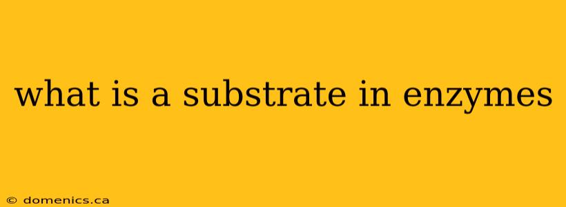 what is a substrate in enzymes